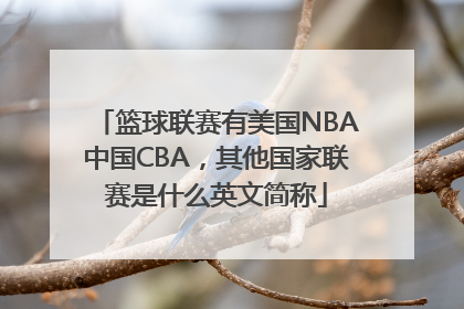 篮球联赛有美国NBA中国CBA，其他国家联赛是什么英文简称