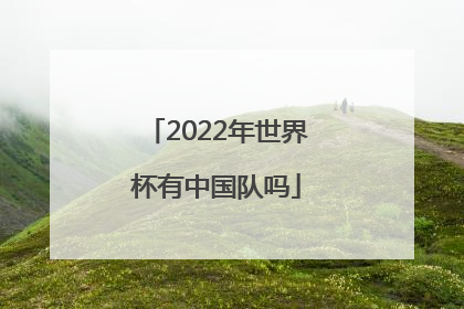 「2022年世界杯有中国队吗」2022年世界杯中国队阵容